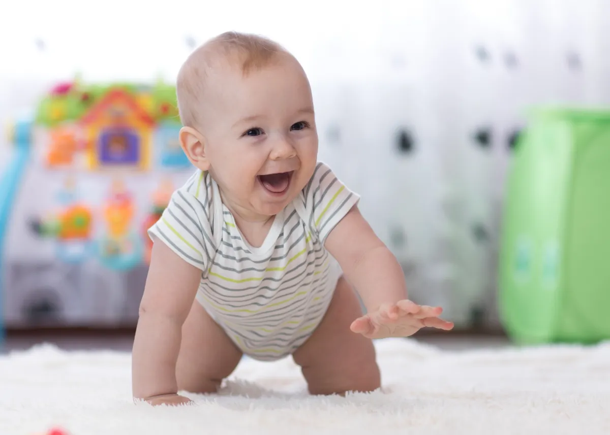 Chaises hautes avec réglage en hauteur : confort pour les parents et les enfants.